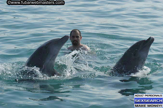 Local Billing Dolphin Encounter and Swim 2005