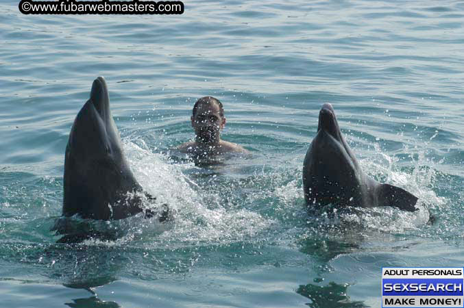 Local Billing Dolphin Encounter and Swim 2005