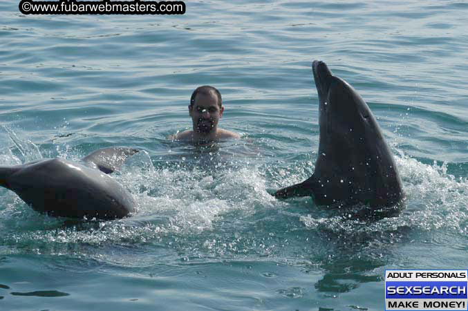 Local Billing Dolphin Encounter and Swim 2005