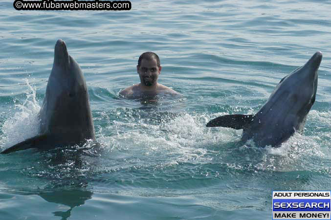 Local Billing Dolphin Encounter and Swim 2005