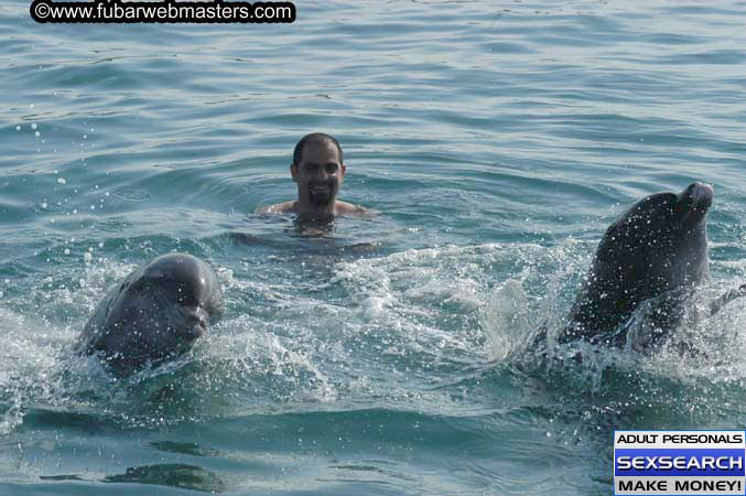 Local Billing Dolphin Encounter and Swim 2005