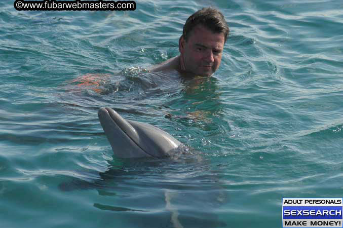 Local Billing Dolphin Encounter and Swim 2005