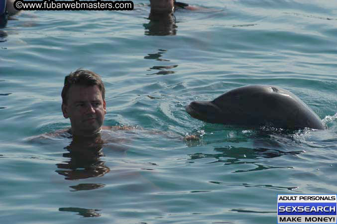 Local Billing Dolphin Encounter and Swim 2005