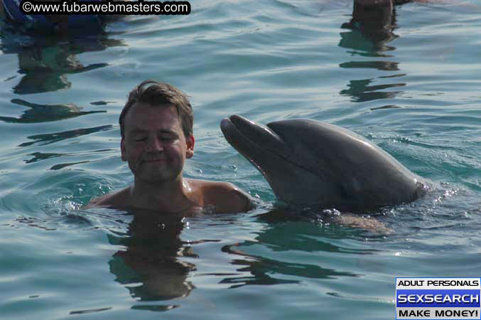 Local Billing Dolphin Encounter and Swim 2005