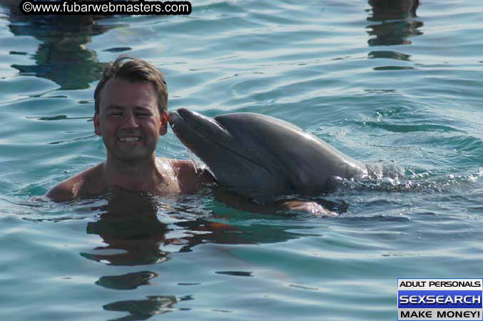 Local Billing Dolphin Encounter and Swim 2005