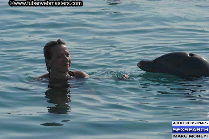 Local Billing Dolphin Encounter and Swim 2005