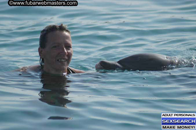 Local Billing Dolphin Encounter and Swim 2005