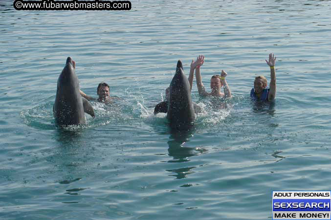 Local Billing Dolphin Encounter and Swim 2005