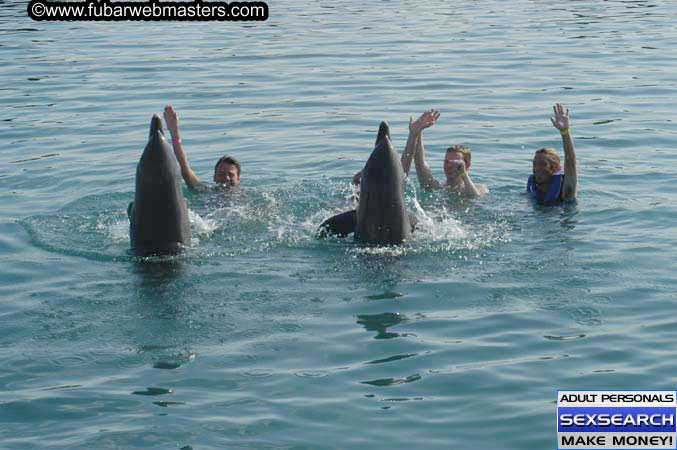 Local Billing Dolphin Encounter and Swim 2005