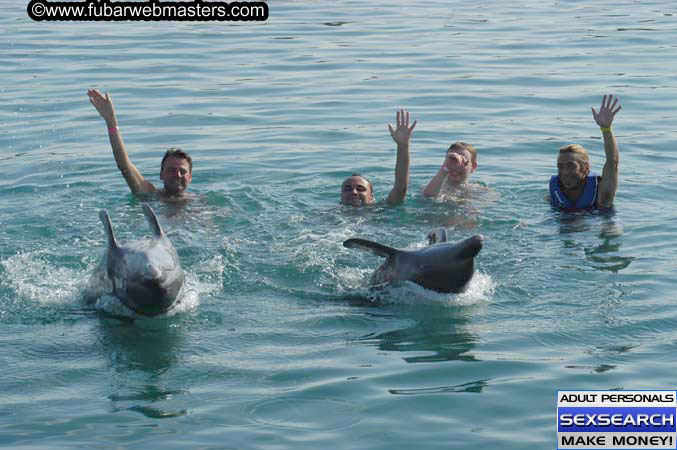 Local Billing Dolphin Encounter and Swim 2005