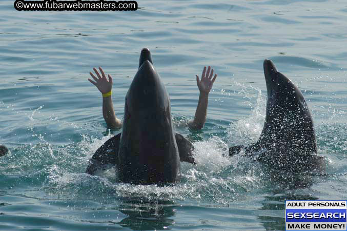 Local Billing Dolphin Encounter and Swim 2005