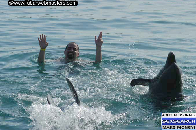 Local Billing Dolphin Encounter and Swim 2005