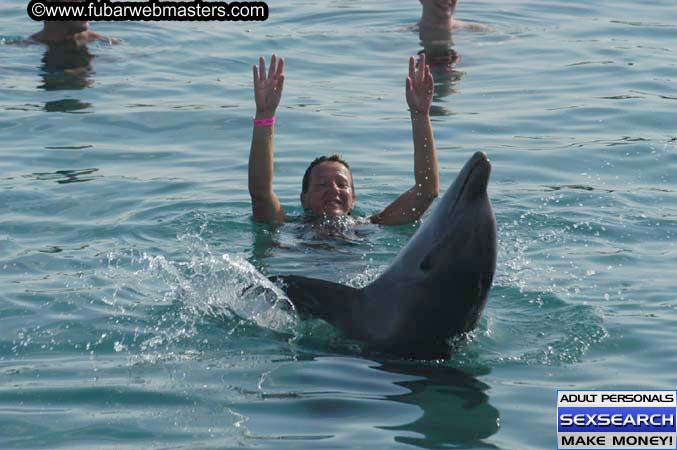 Local Billing Dolphin Encounter and Swim 2005