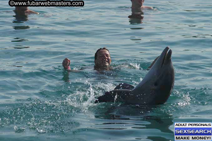 Local Billing Dolphin Encounter and Swim 2005