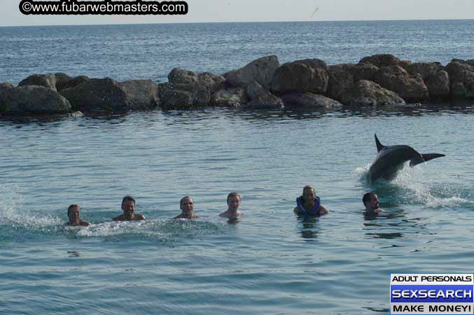 Local Billing Dolphin Encounter and Swim 2005