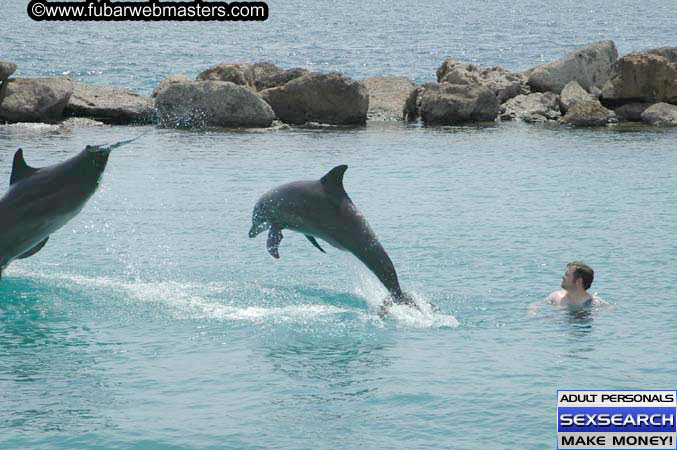 Local Billing Dolphin Encounter and Swim 2005