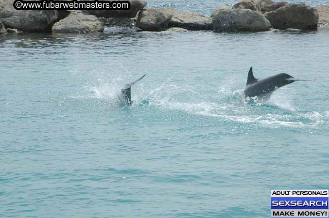 Local Billing Dolphin Encounter and Swim 2005