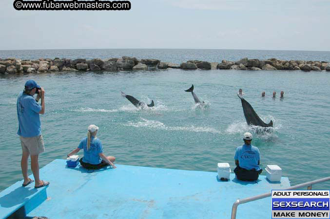 Local Billing Dolphin Encounter and Swim 2005