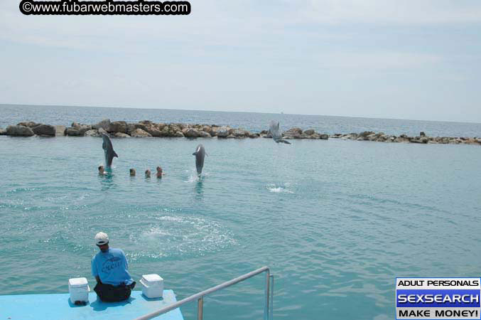 Local Billing Dolphin Encounter and Swim 2005