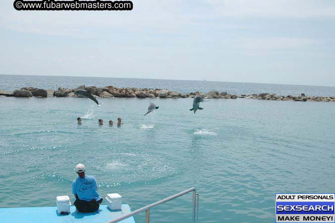 Local Billing Dolphin Encounter and Swim 2005