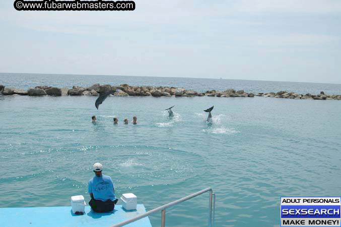 Local Billing Dolphin Encounter and Swim 2005