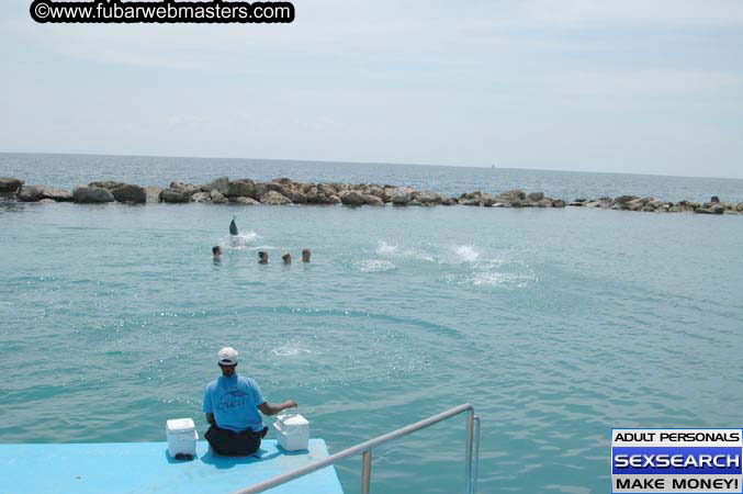 Local Billing Dolphin Encounter and Swim 2005