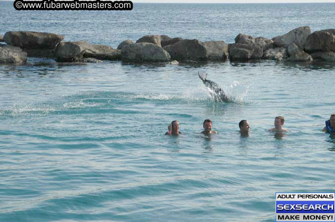 Local Billing Dolphin Encounter and Swim 2005