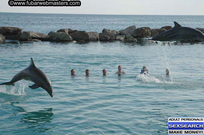 Local Billing Dolphin Encounter and Swim 2005