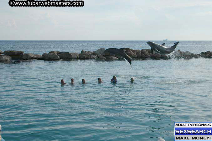 Local Billing Dolphin Encounter and Swim 2005