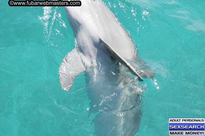 Local Billing Dolphin Encounter and Swim 2005