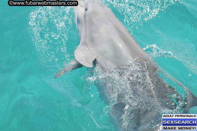 Local Billing Dolphin Encounter and Swim 2005