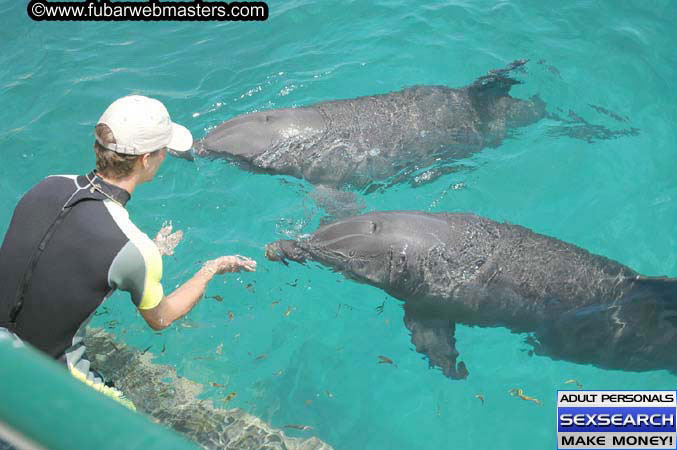 Local Billing Dolphin Encounter and Swim 2005