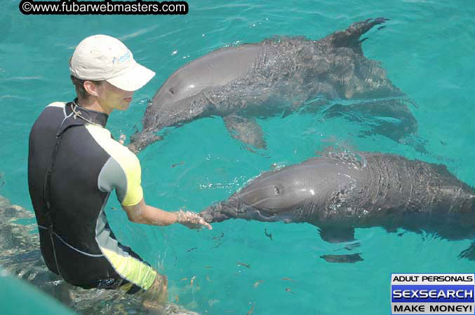 Local Billing Dolphin Encounter and Swim 2005