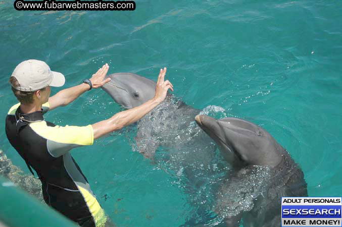 Local Billing Dolphin Encounter and Swim 2005