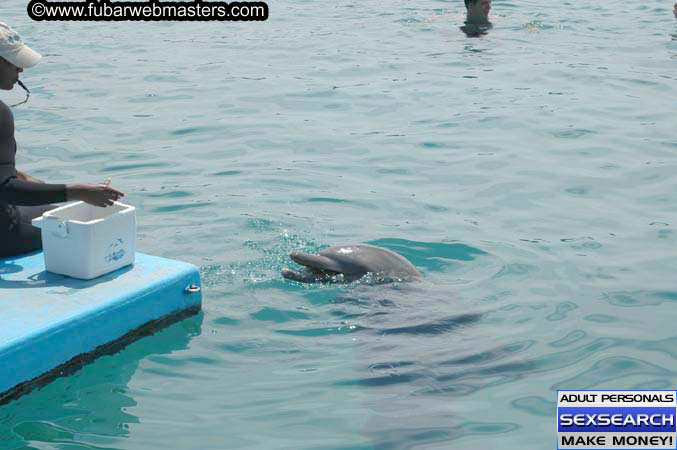 Local Billing Dolphin Encounter and Swim 2005