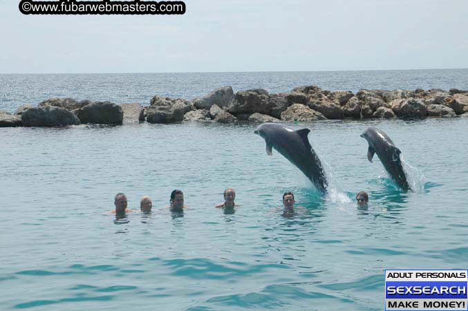 Local Billing Dolphin Encounter and Swim 2005