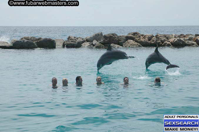 Local Billing Dolphin Encounter and Swim 2005