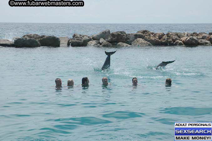 Local Billing Dolphin Encounter and Swim 2005