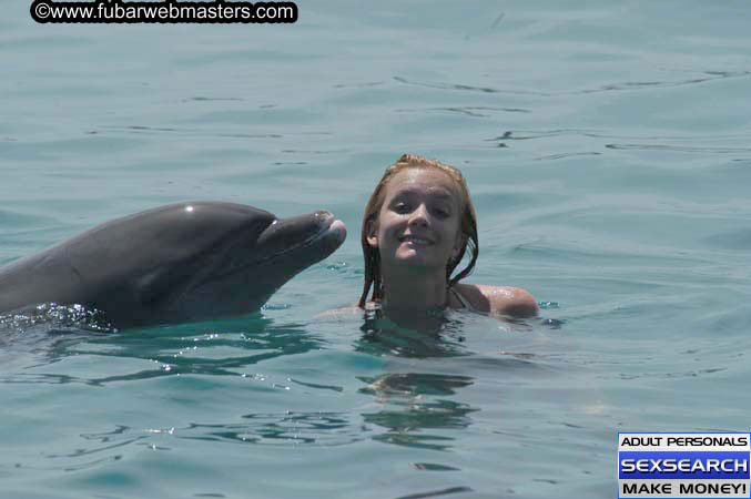 Local Billing Dolphin Encounter and Swim 2005