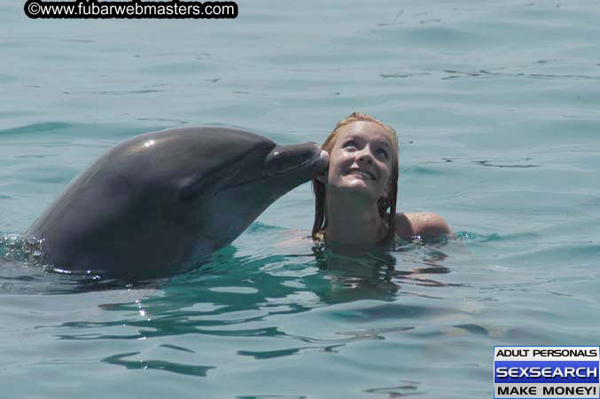 Local Billing Dolphin Encounter and Swim 2005