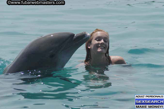 Local Billing Dolphin Encounter and Swim 2005