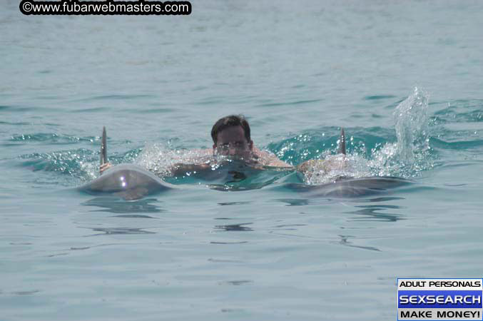 Local Billing Dolphin Encounter and Swim 2005