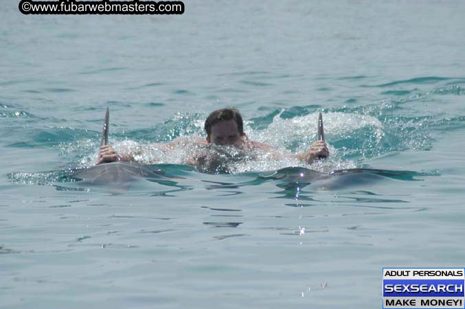 Local Billing Dolphin Encounter and Swim 2005