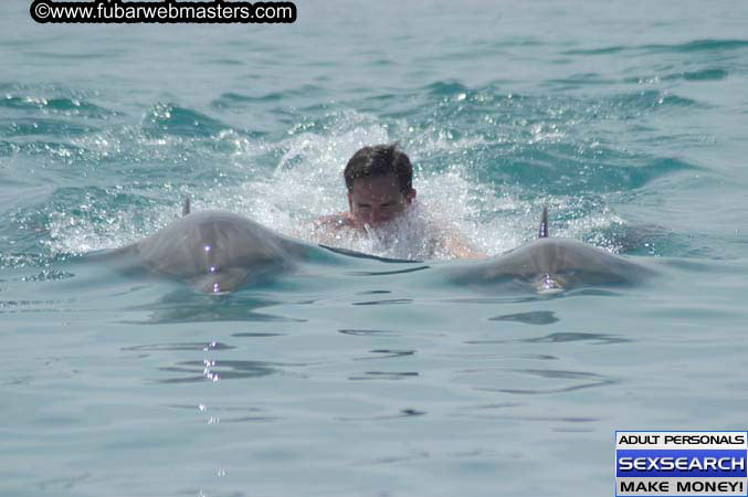 Local Billing Dolphin Encounter and Swim 2005