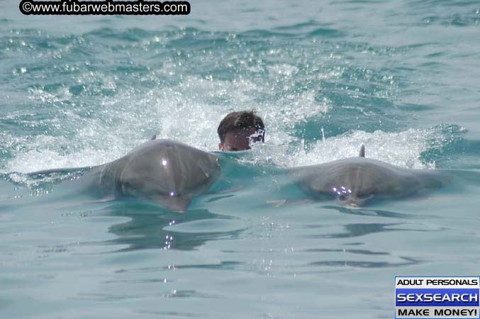 Local Billing Dolphin Encounter and Swim 2005