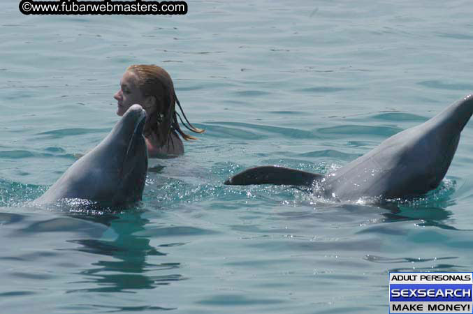 Local Billing Dolphin Encounter and Swim 2005