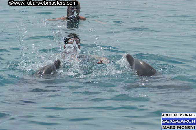 Local Billing Dolphin Encounter and Swim 2005