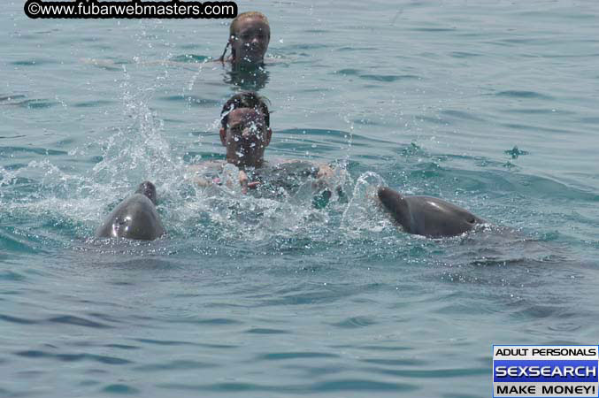 Local Billing Dolphin Encounter and Swim 2005