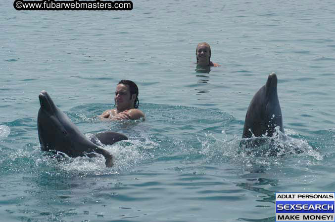 Local Billing Dolphin Encounter and Swim 2005