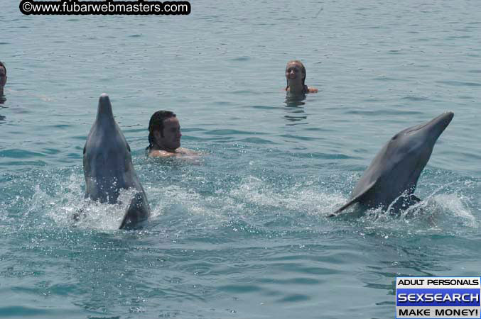 Local Billing Dolphin Encounter and Swim 2005